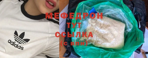 индика Гусь-Хрустальный