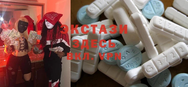 круглые Гусев
