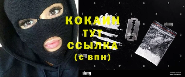 индика Гусь-Хрустальный