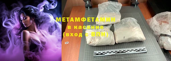 индика Гусь-Хрустальный
