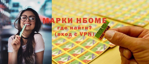 индика Гусь-Хрустальный