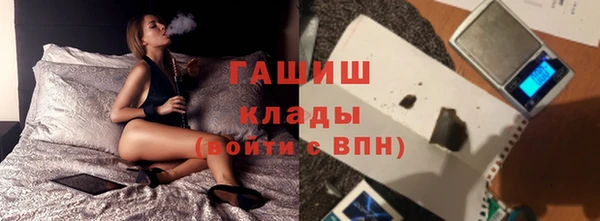 круглые Гусев