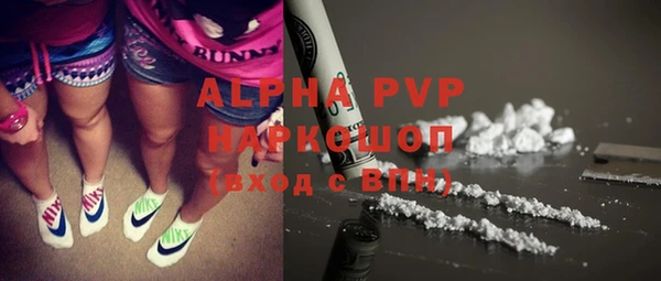 круглые Гусев
