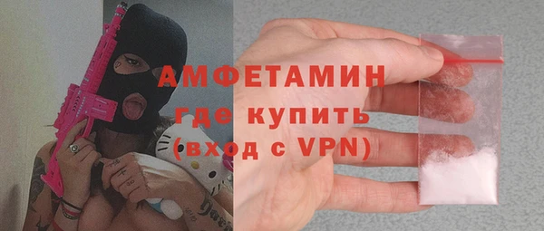 индика Гусь-Хрустальный