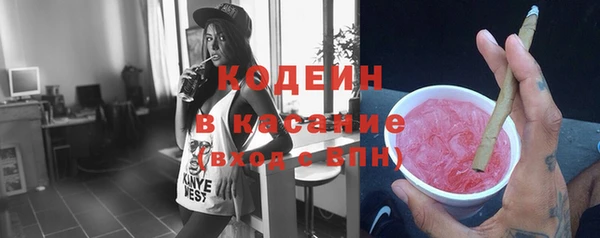индика Гусь-Хрустальный