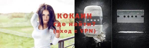 круглые Гусев