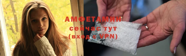 индика Гусь-Хрустальный