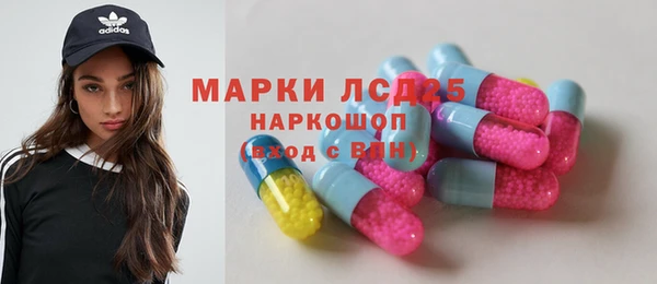индика Гусь-Хрустальный