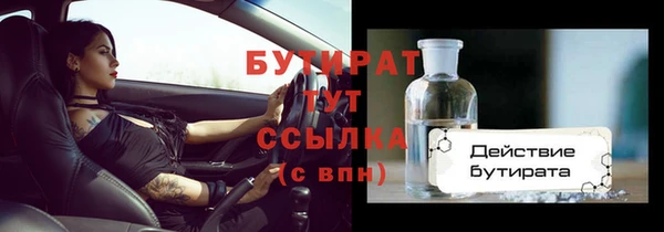 индика Гусь-Хрустальный