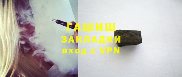 индика Гусь-Хрустальный