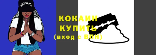 индика Гусь-Хрустальный