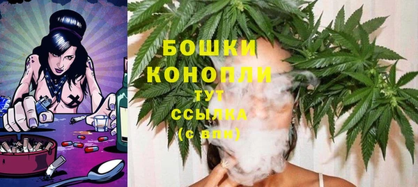 круглые Гусев