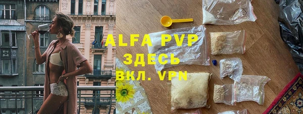 круглые Гусев