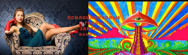 стафф Гусиноозёрск