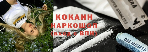 круглые Гусев