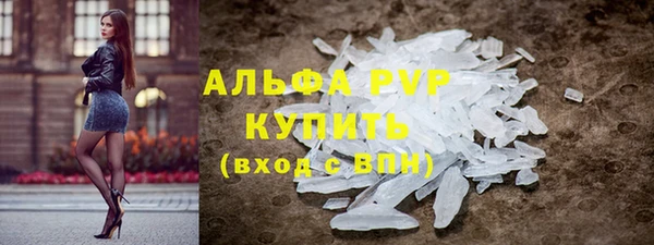 индика Гусь-Хрустальный