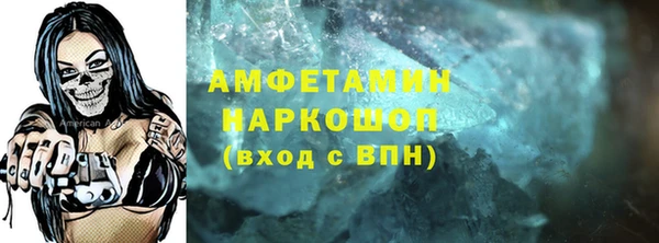 индика Гусь-Хрустальный